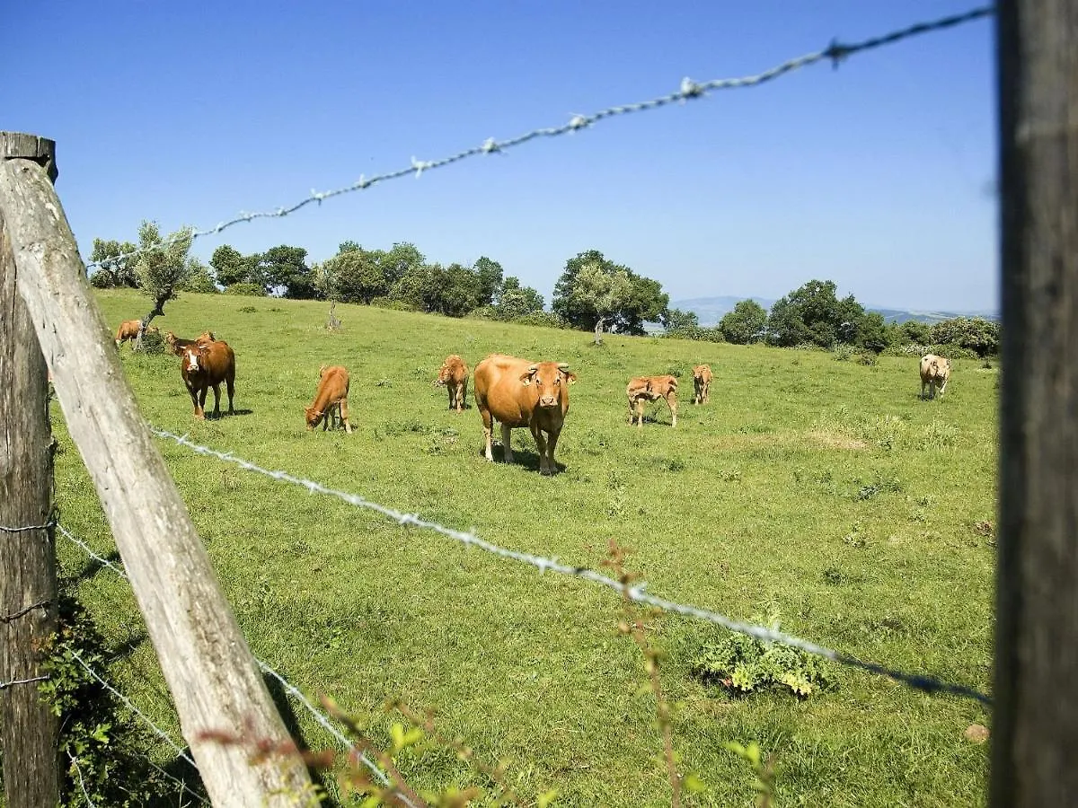 Appartamento Locazione Turistica Borgo Cerbaiola-2 Casa Montacuto 0*,